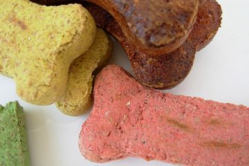 Recette simple de biscuit pour chien