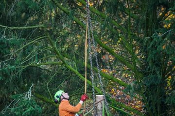 Spécifications d'une scie à chaîne Stihl 028 AV