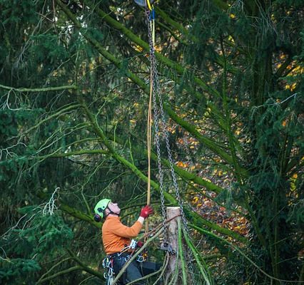 Spécifications d'une scie à chaîne Stihl 028 AV