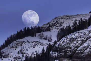 Combien de temps dois-je laisser pousser les poils avant de les épiler ?