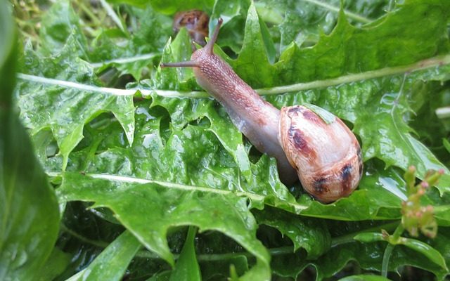 Combien de temps les moules restent-elles fraîches ?