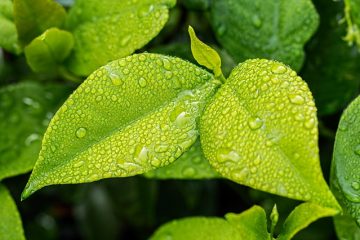 Comment empêcher les carreaux de sol d'être mouillés par la sensation d'humidité