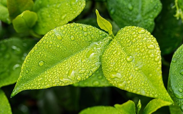 Comment empêcher les carreaux de sol d'être mouillés par la sensation d'humidité