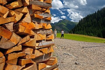 Comment fabriquer des bûches de feu en papier sec