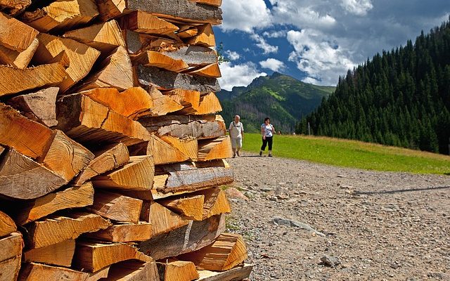 Comment fabriquer des bûches de feu en papier sec