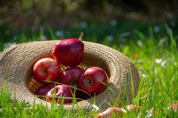 Différence entre la détérioration des aliments et l'intoxication alimentaire