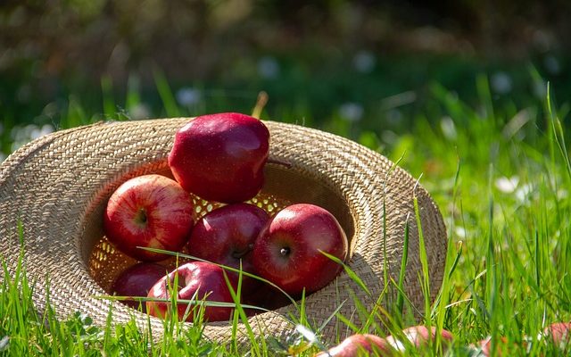 Différence entre la détérioration des aliments et l'intoxication alimentaire