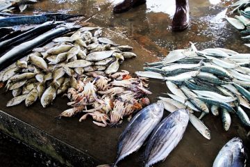 Façons de manger les sardines