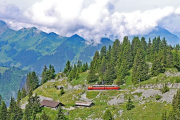 Les inconvénients de la direction à crémaillère et à pignon