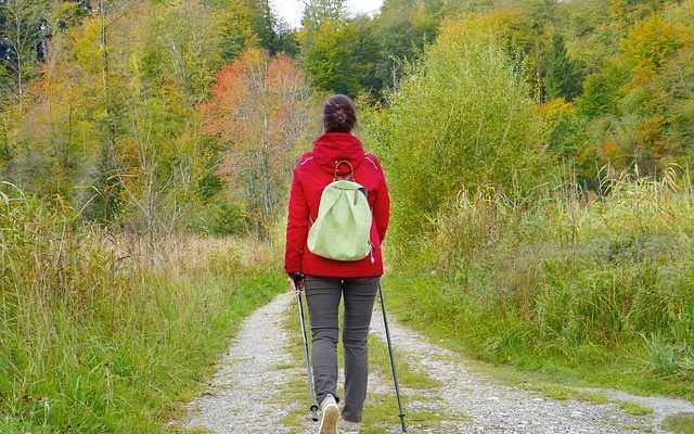 Quel devrait être le niveau de FSH à la ménopause ?