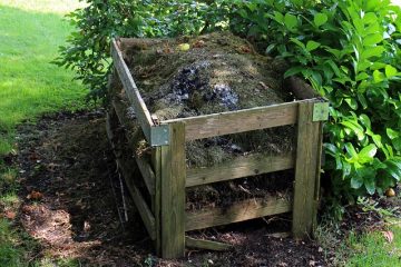 Recette maison pour un démarreur de compost