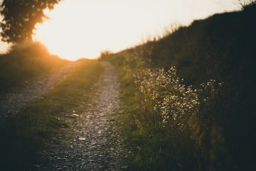 Comment construire un sentier de jardin en gravier