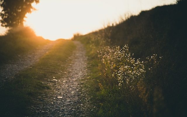 Comment construire un sentier de jardin en gravier