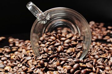 Comment cultiver le café à partir de semences