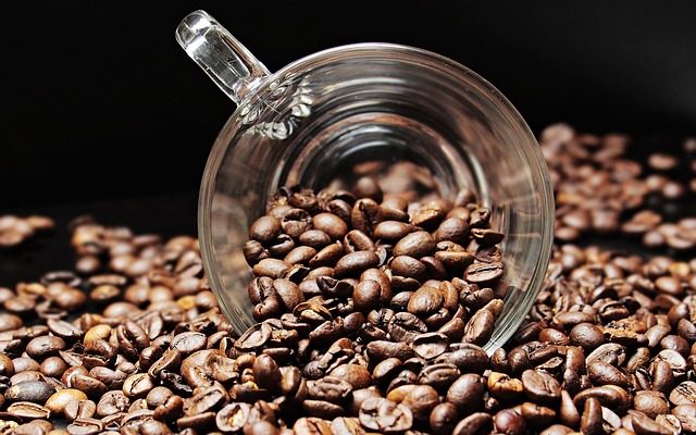Comment cultiver le café à partir de semences
