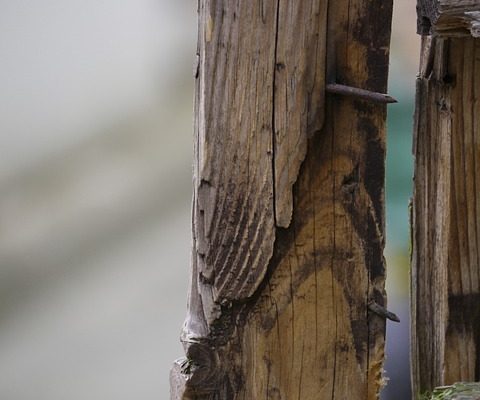 Comment élargir une pièce étroite avec des planchers de bois