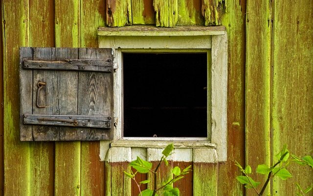 Comment enlever les algues d'une terrasse en bois