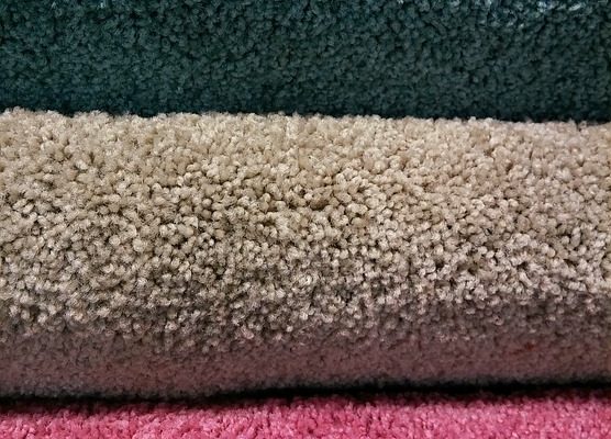 Comment réparer les trous de tapis égratignés par les chats