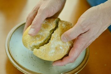 Comment transformer les pourcentages en fractions dans un camembert