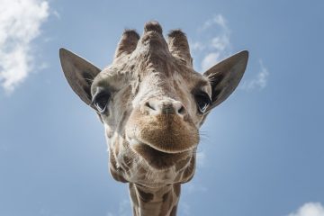 Comment utiliser une lunette de visée de télémétrie