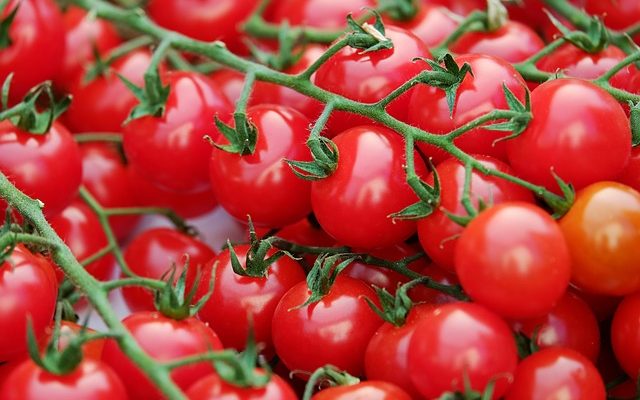 Liste des variétés de tomates