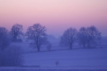 Problèmes avec les congélateurs sans givre