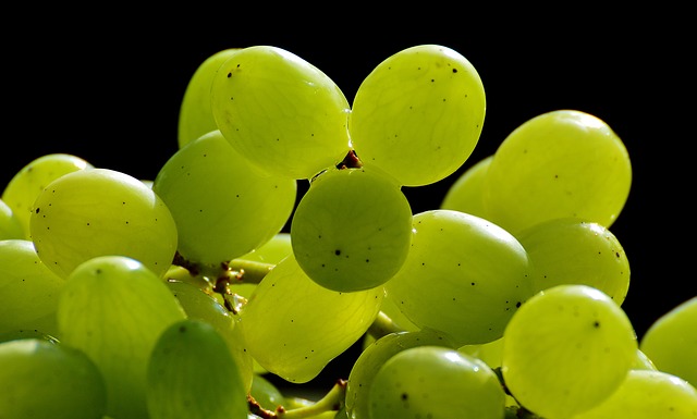 Quel mois les raisins mûrissent ?