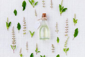 Soins des plantes à la menthe