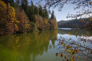 Sur le comptoir ays pour perdre l'excès de poids de l'eau