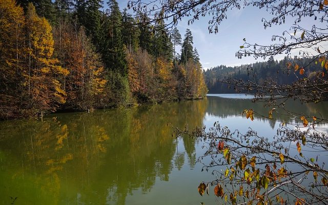 Sur le comptoir ays pour perdre l'excès de poids de l'eau