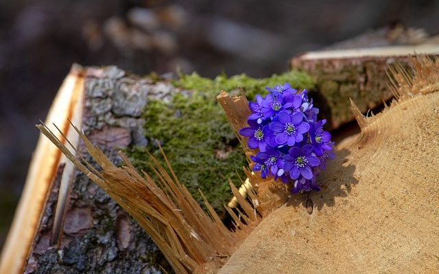 Comment construire une bordure de jardin