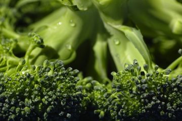 Comment cuire des légumes à la vapeur dans un cuiseur vapeur électrique