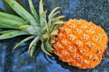 Comment faire pousser un dessus d'ananas