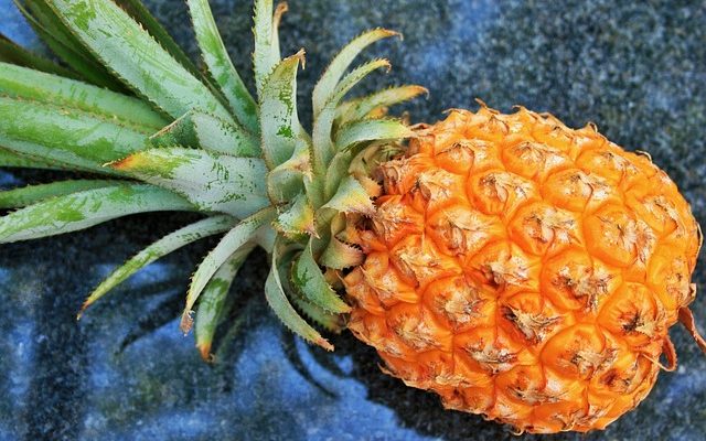 Comment faire pousser un dessus d'ananas