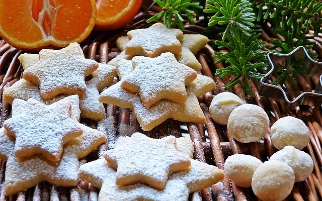 Différences entre les noisettes et les noix de macadamia.