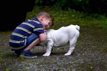 Jeux traditionnels écossais pour enfants