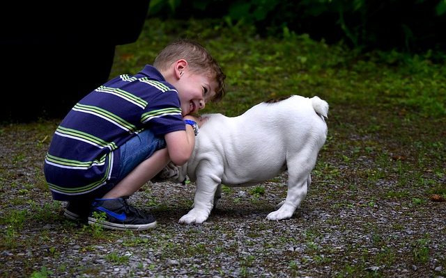 Jeux traditionnels écossais pour enfants