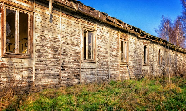 Où trouver des fournitures pour la construction d'une maison dans un arbre