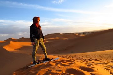 Plantes indigènes et animaux du Maroc