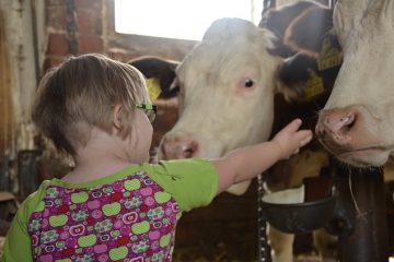 Problèmes auxquels sont confrontés les enfants physiquement et mentalement handicapés.