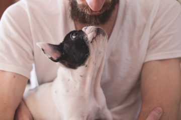 Que se passe-t-il lorsqu'un chien mord quelqu'un ?