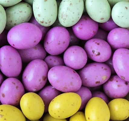 Une liste des légumes du jardin vertical