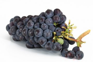 Combien de temps vivent les vignes de fruits de la passion ?