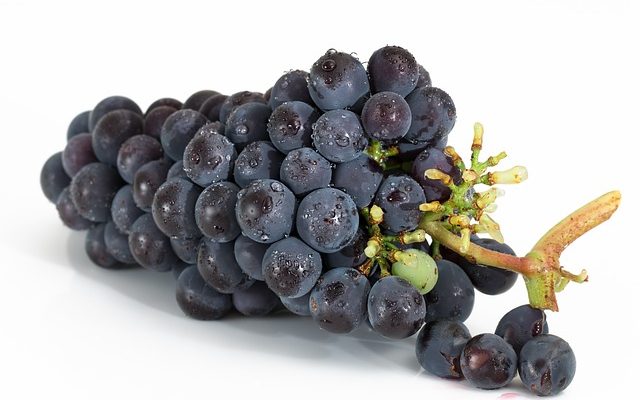 Combien de temps vivent les vignes de fruits de la passion ?