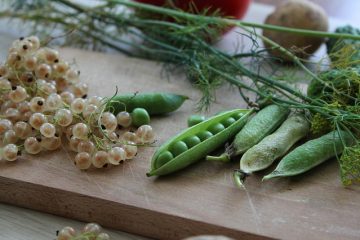 Comment congeler les légumes Mangetout