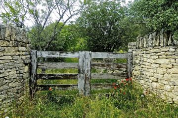 Comment construire un portail de jardin en bois