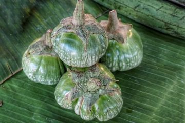 Comment faire cuire les aubergines à la vapeur