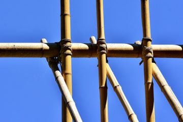 Comment plier le bambou pour une canne à pied