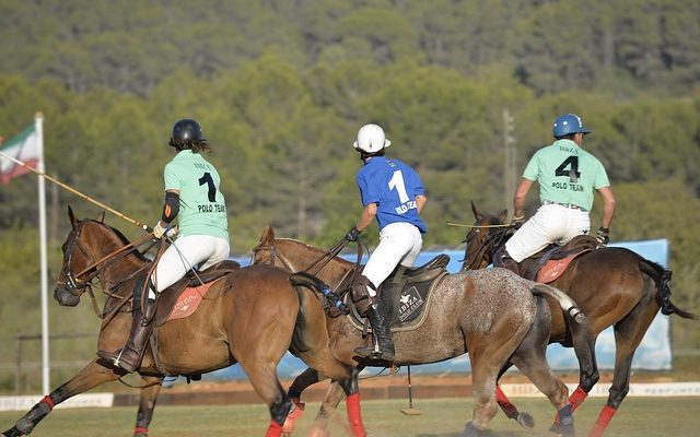 Comment rétrécir un polo ?