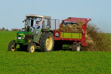 Comment utiliser le fumier de cheval comme engrais de jardin